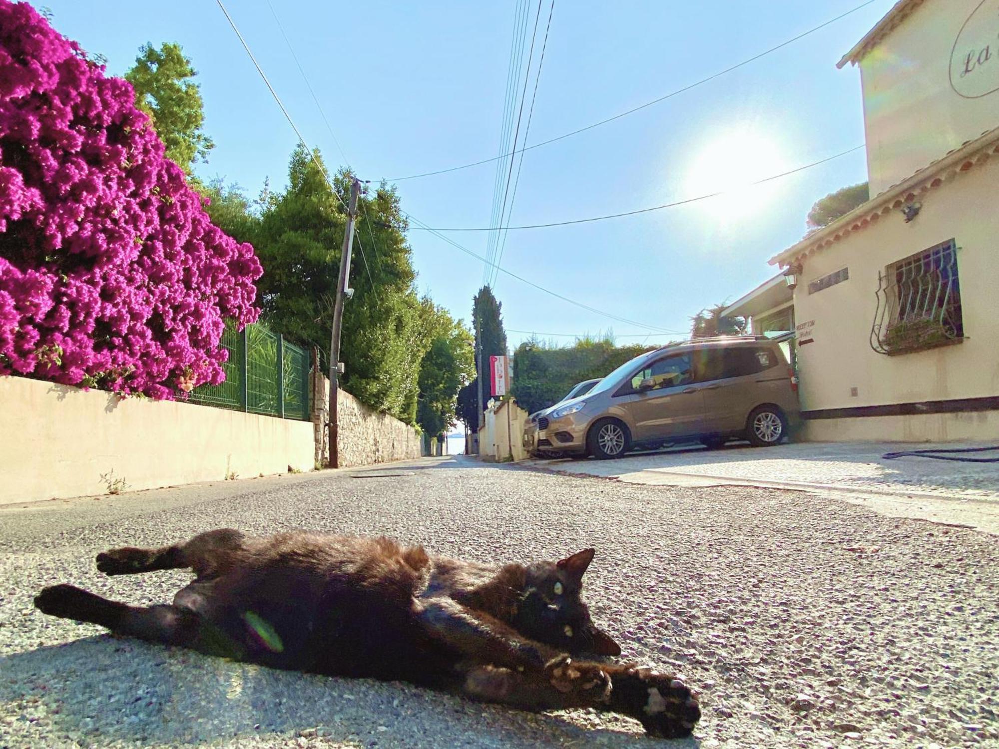 La Jabotte Otel Antibes Dış mekan fotoğraf