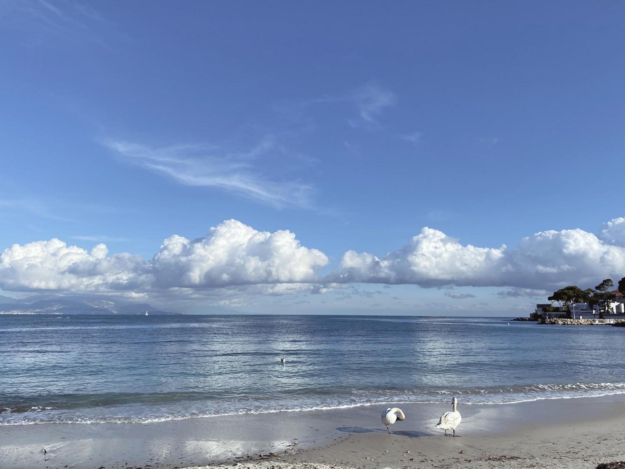 La Jabotte Otel Antibes Dış mekan fotoğraf